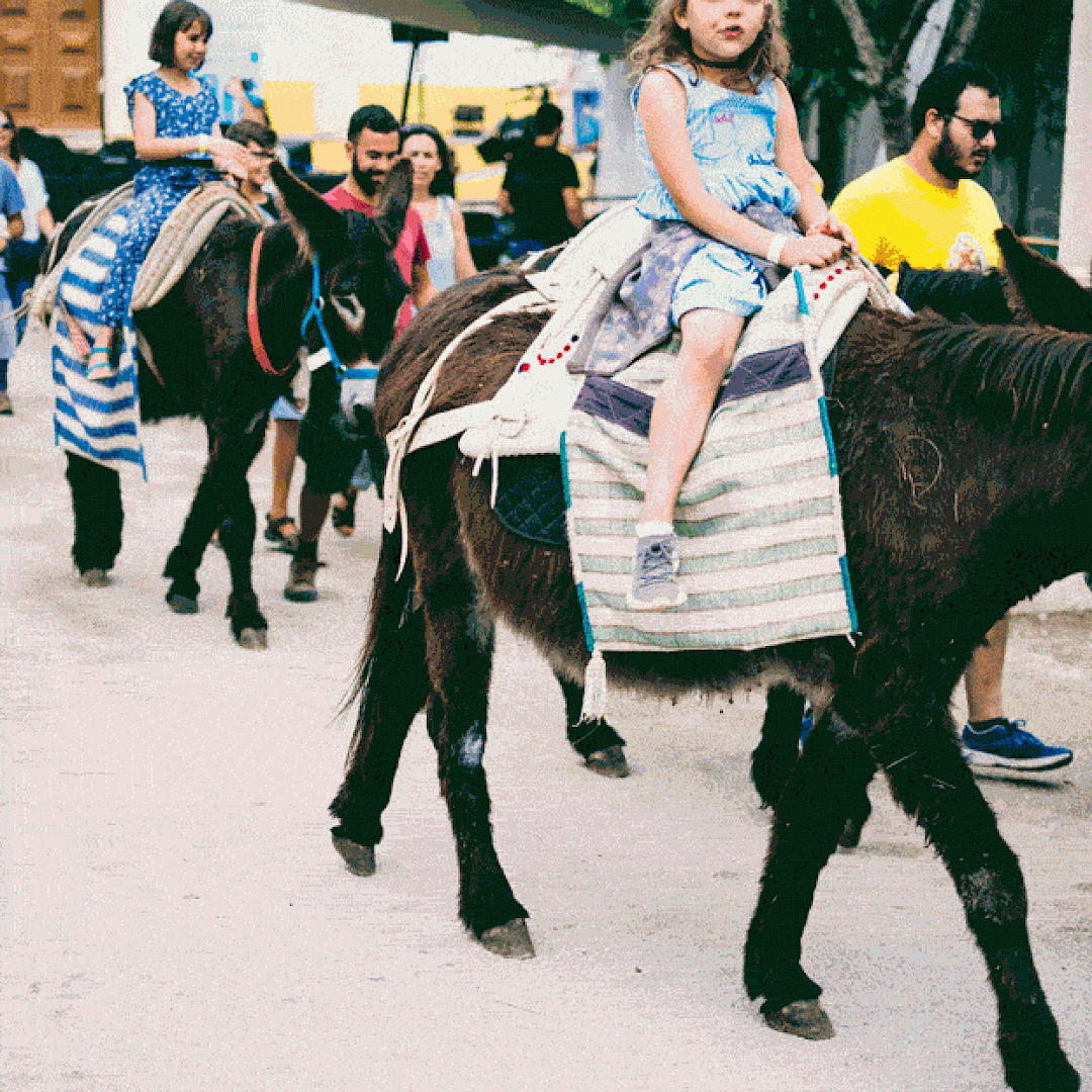 Fotografias por Carlos Martins, Vera Marmelo e Verónica Paulo